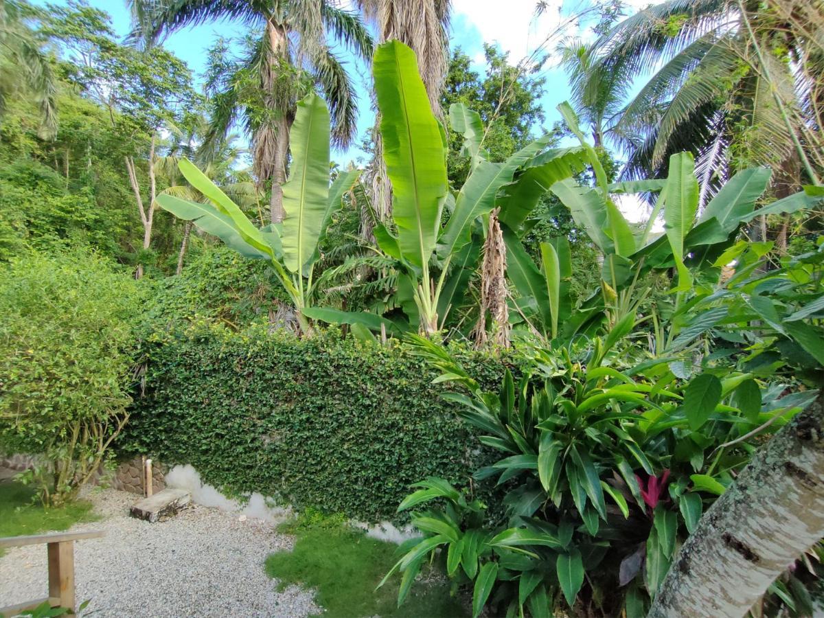 Aparthotel House Jardin Del Caribe Las Terrenas Exterior foto