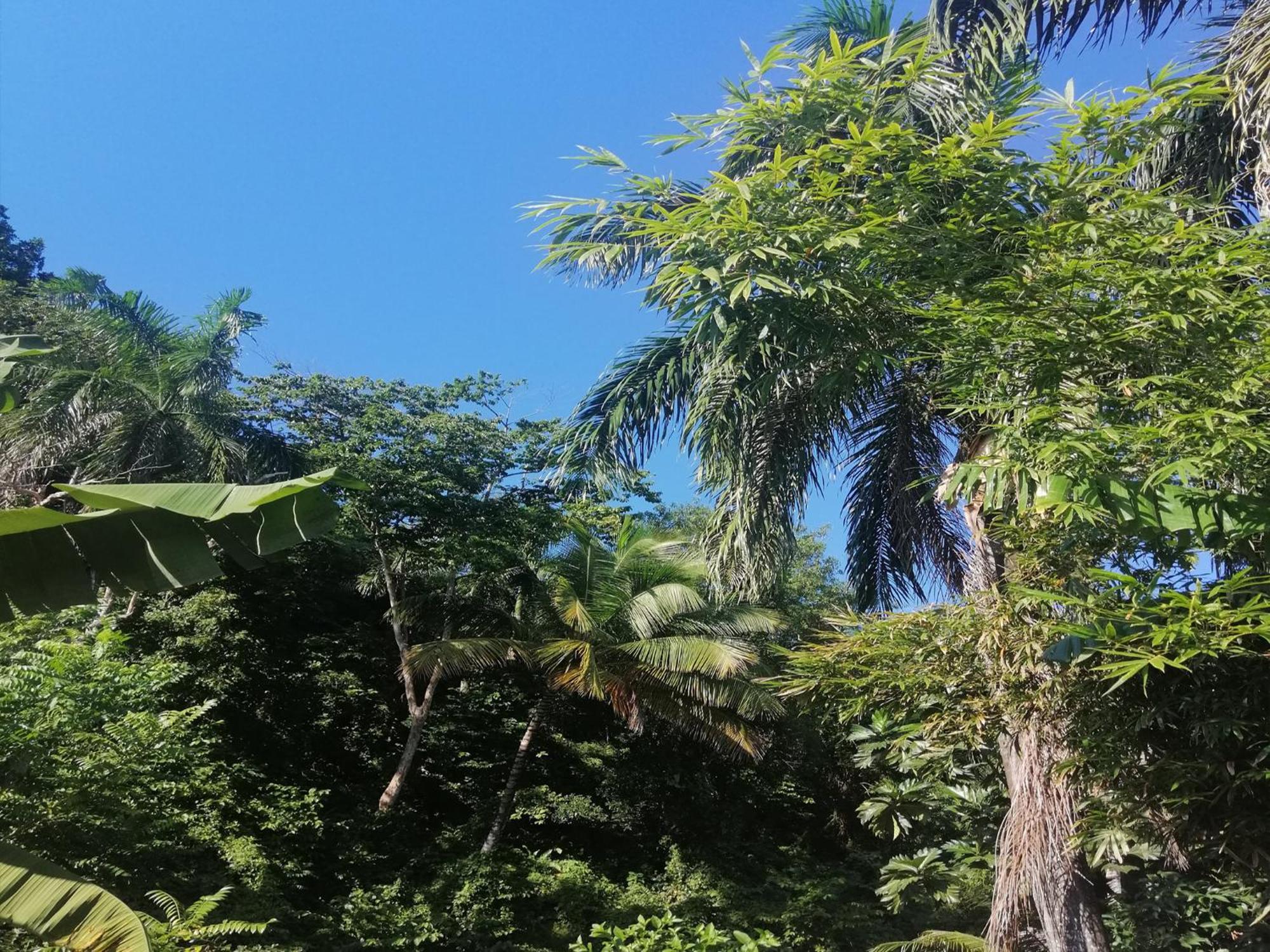 Aparthotel House Jardin Del Caribe Las Terrenas Zimmer foto